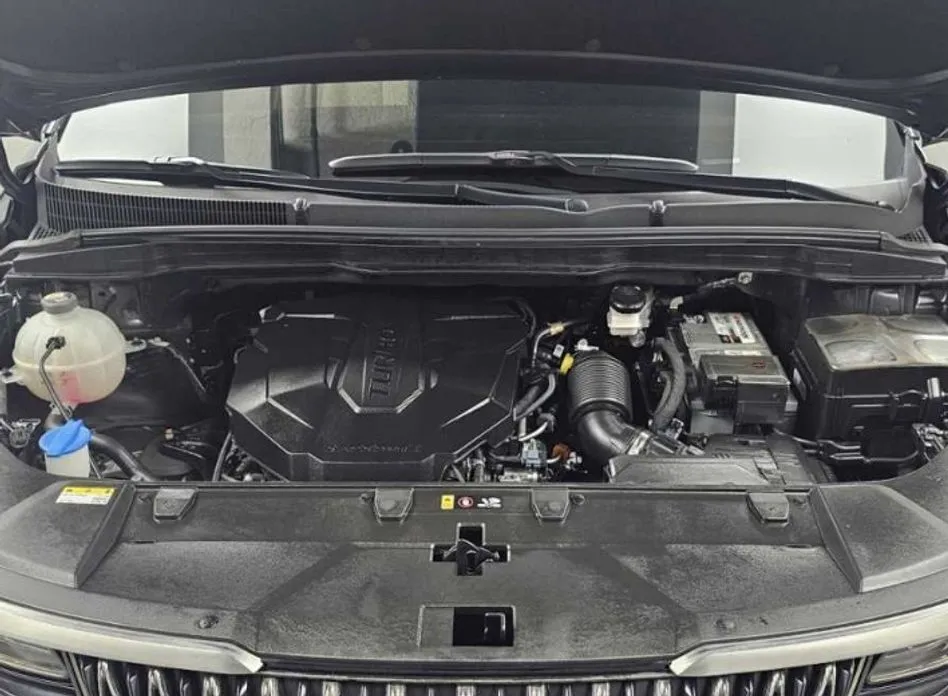 Kia Carnival — фото 10