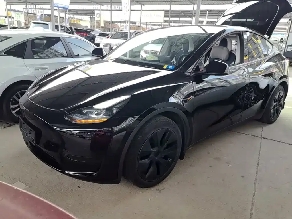 Tesla Model Y — фото 7