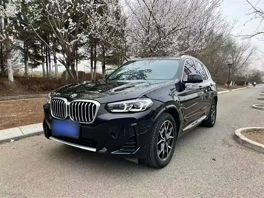 BMW X3 — фото 1