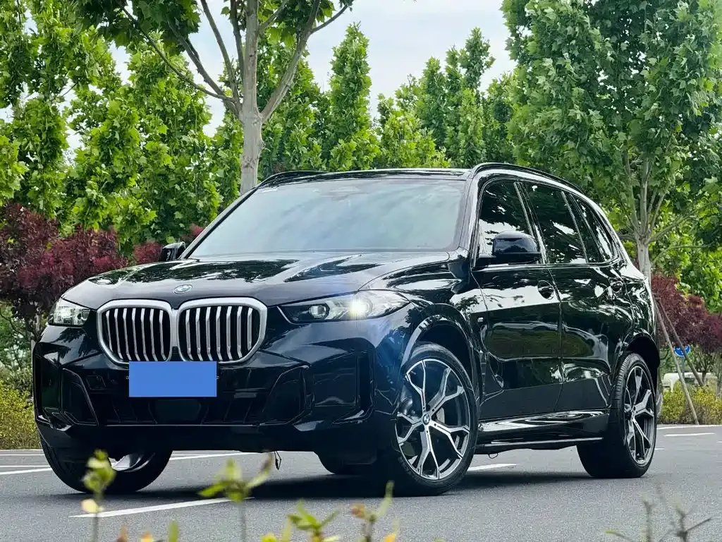 BMW X5 — фото 1
