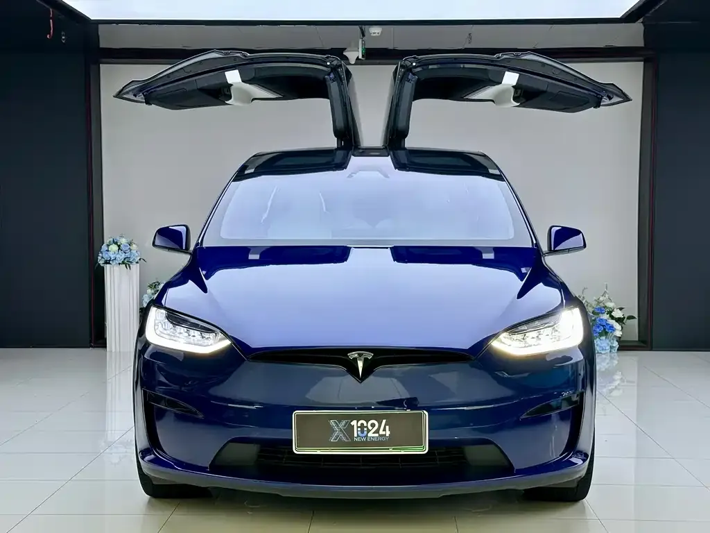 Tesla Model X — фото 3