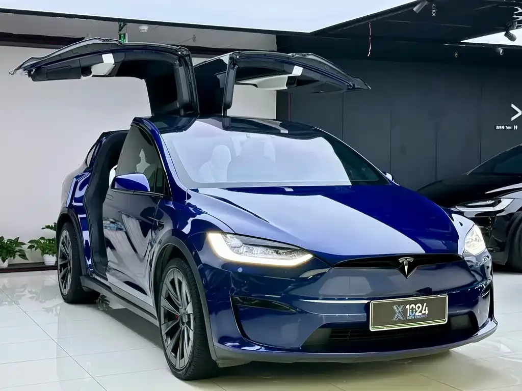 Tesla Model X — фото 6