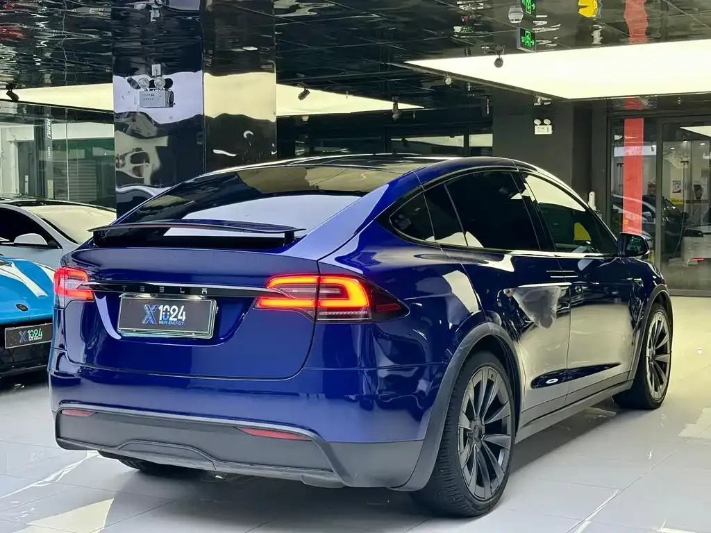 Tesla Model X — фото 9