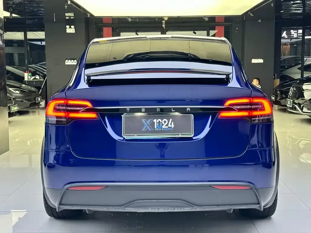 Tesla Model X — фото 5
