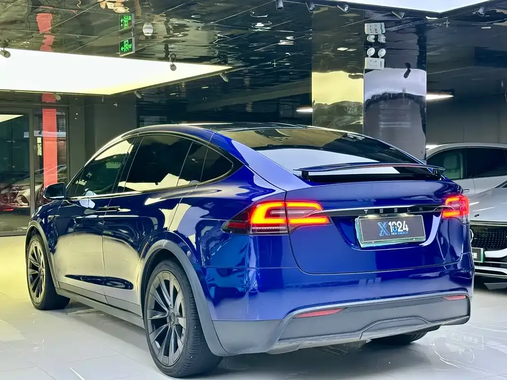 Tesla Model X — фото 8
