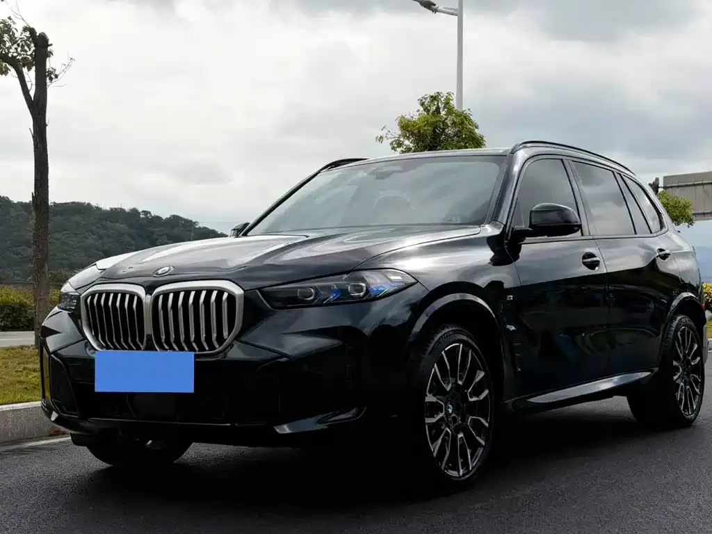 BMW X5 — фото 1