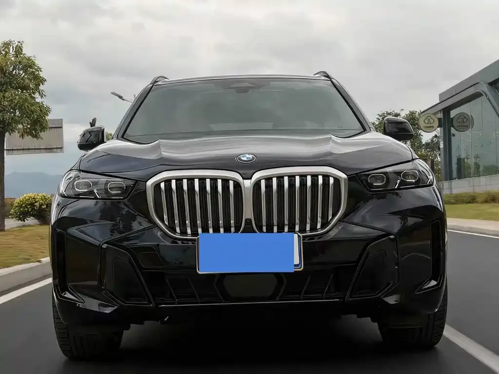 BMW X5 — фото 2