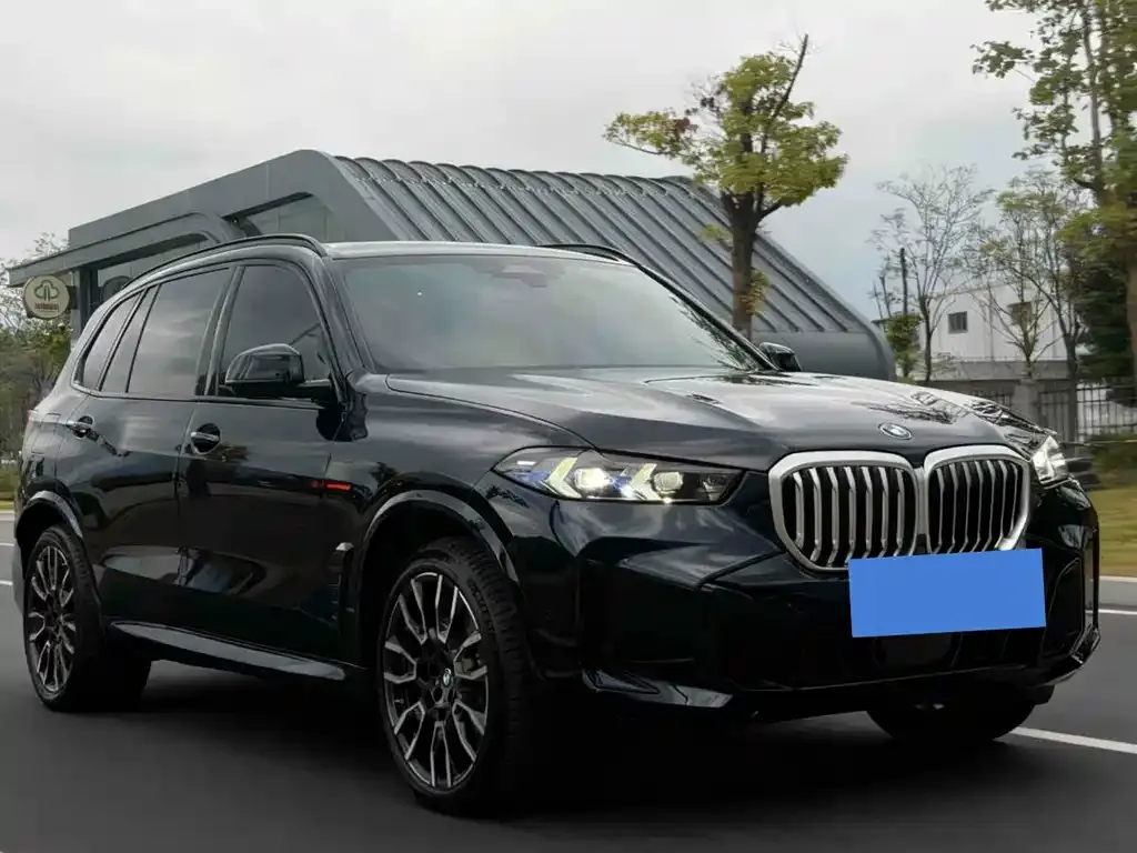 BMW X5 — фото 9