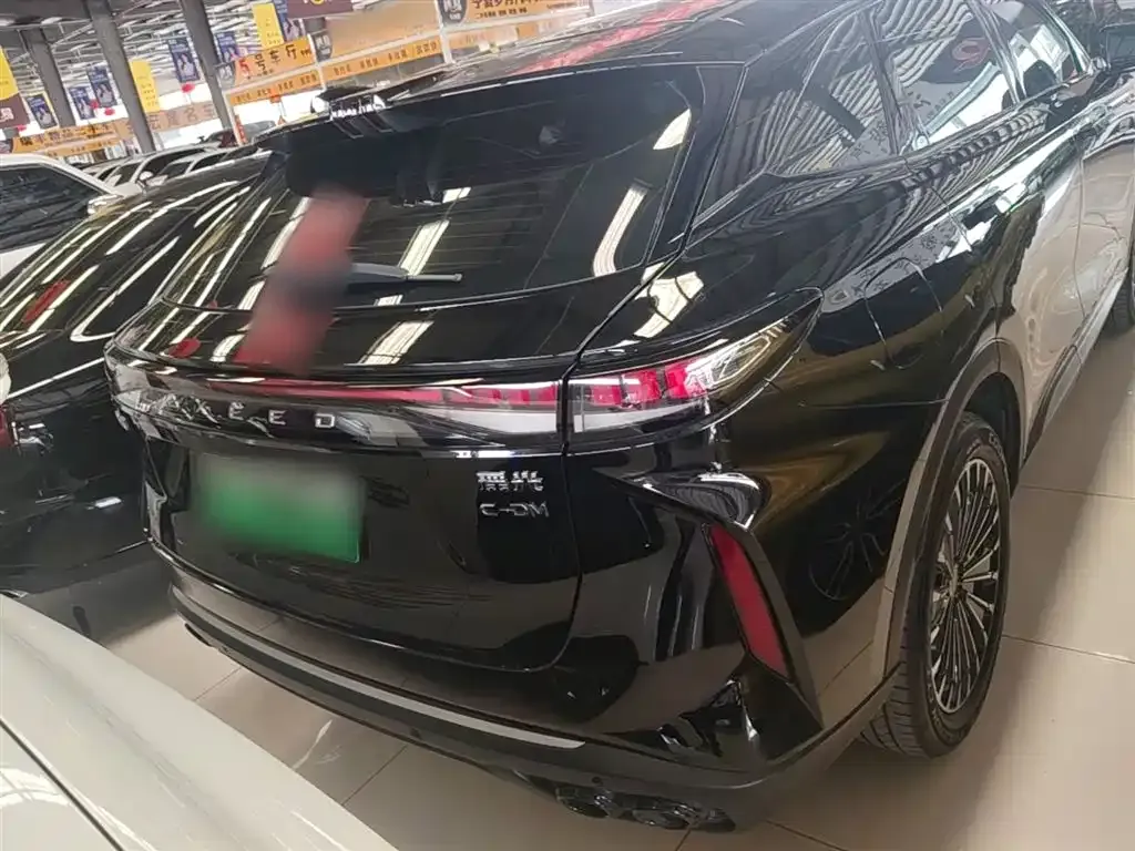 Exeed Yaoguang C-DM — фото 10