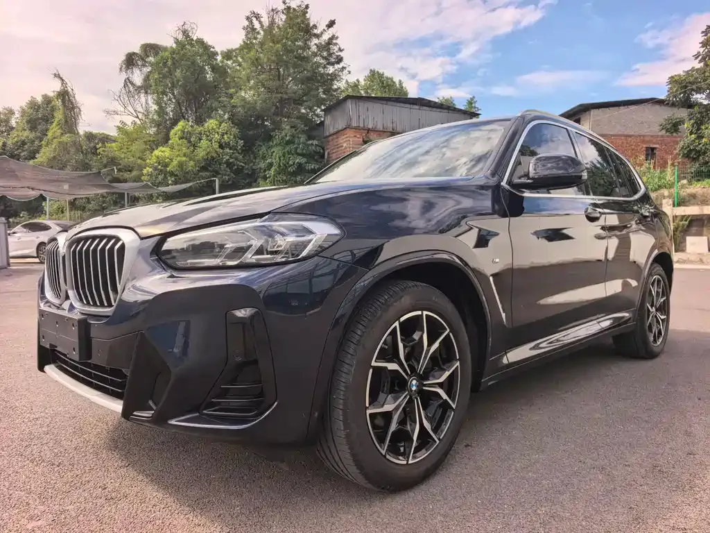 BMW X3 — фото 1
