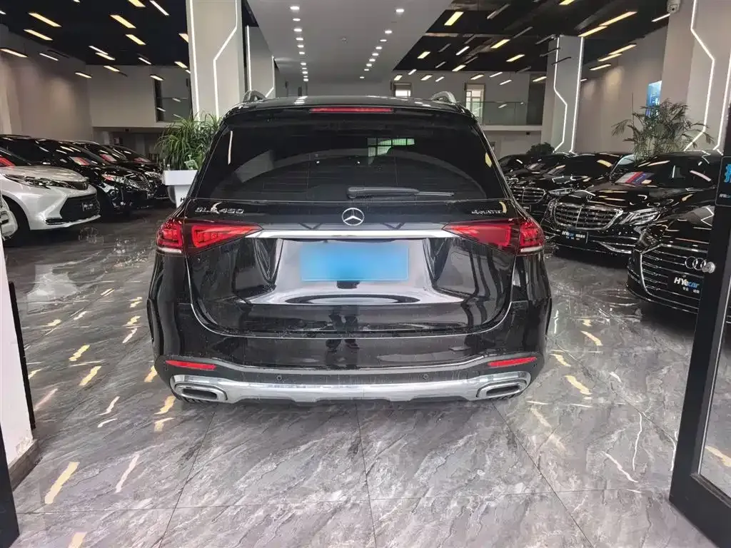 Mercedes-Benz 奔驰GLE(进口) — фото 5