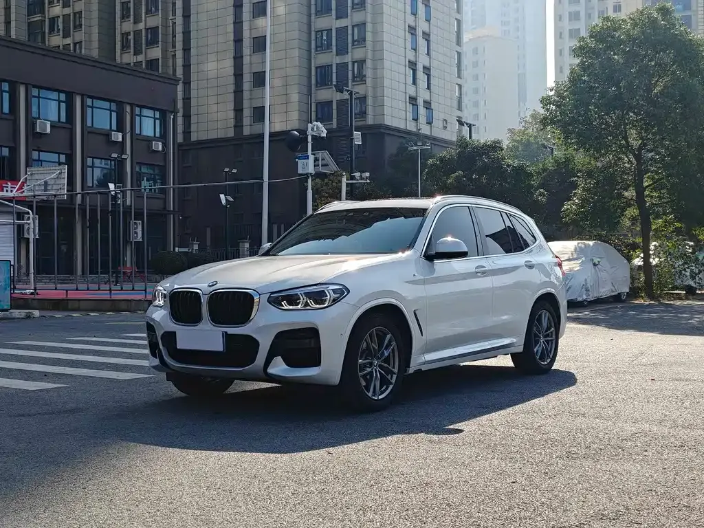 BMW X3 — фото 1