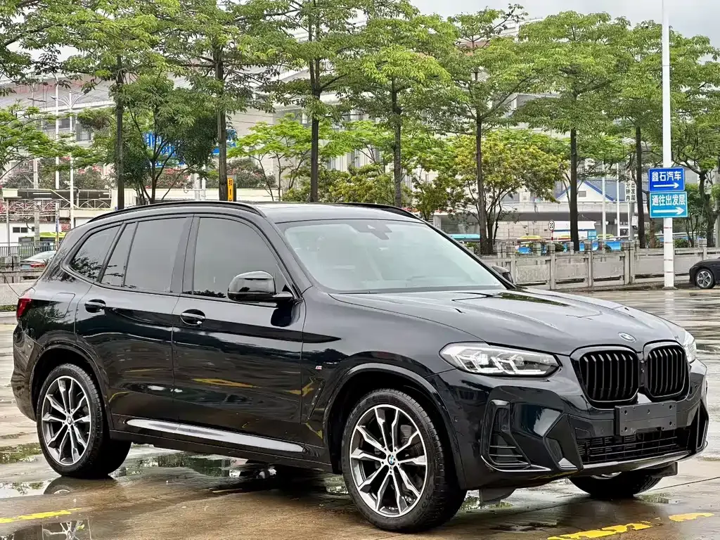 BMW X3 — фото 1
