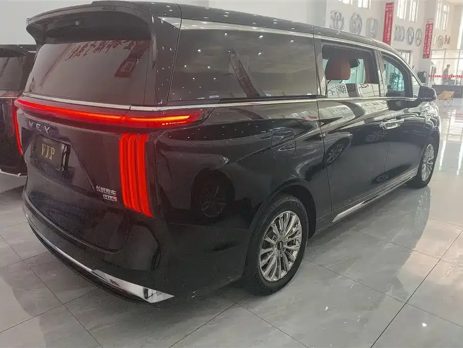 Wey Gaoshan — фото 9