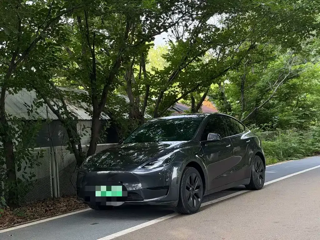 Tesla Model Y — фото 1