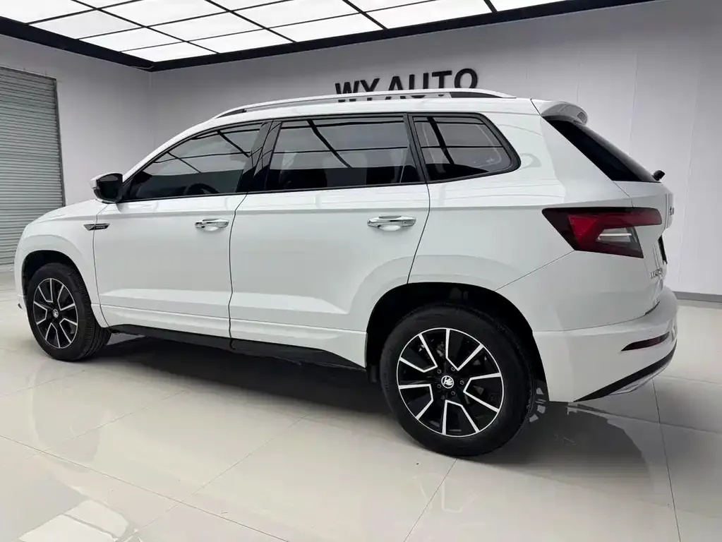 Skoda Karoq — фото 6
