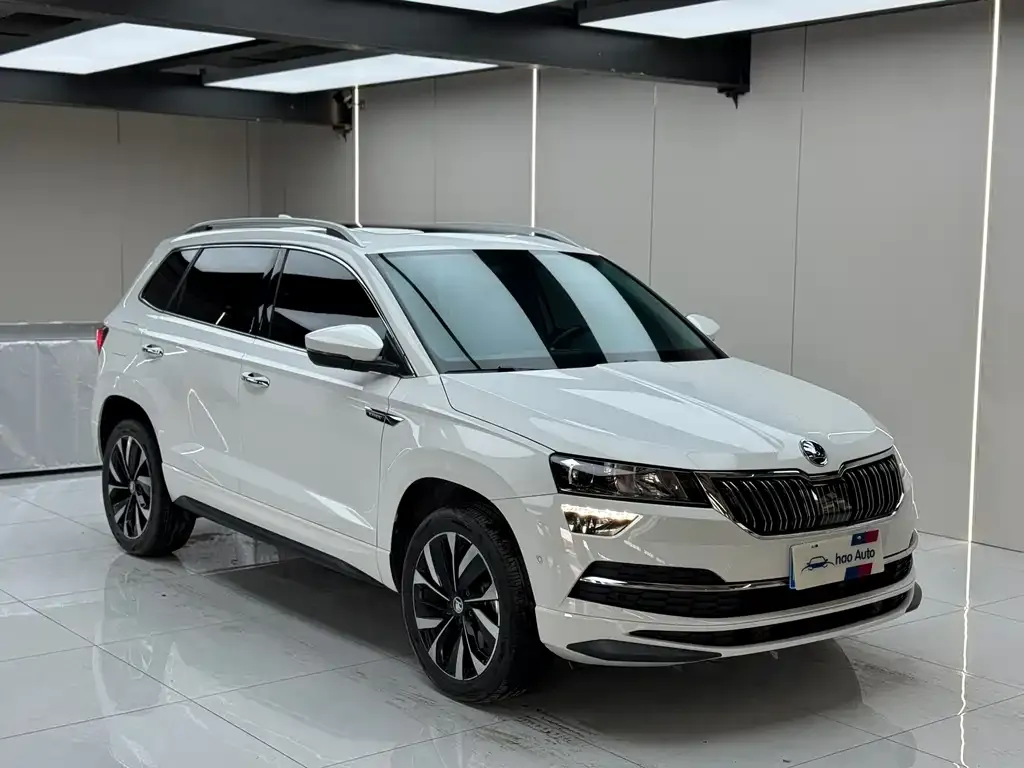 Skoda Karoq — фото 7