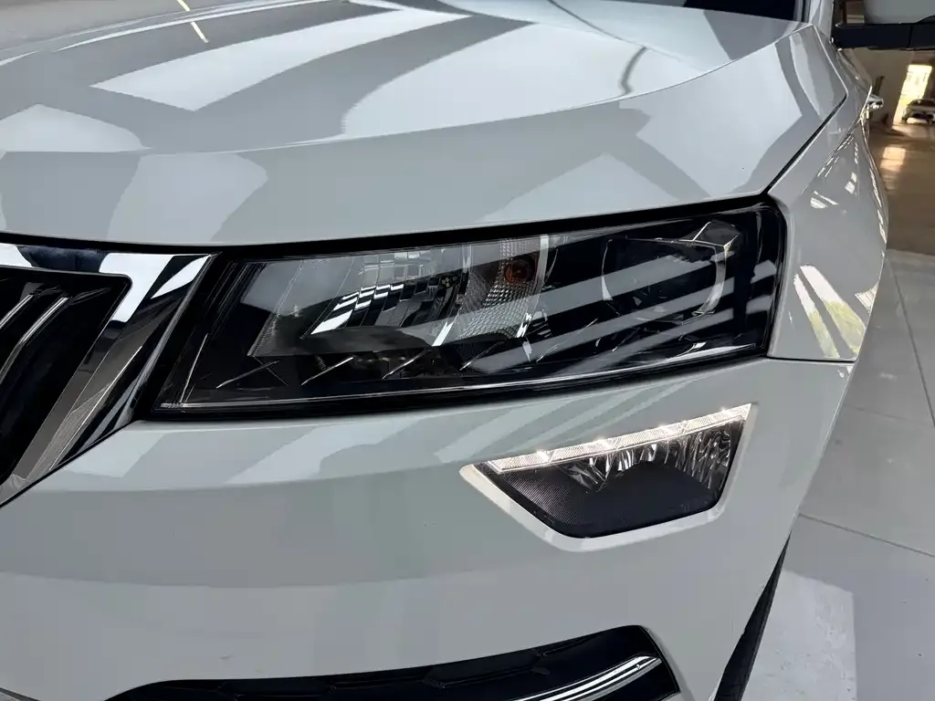 Skoda Karoq — фото 8