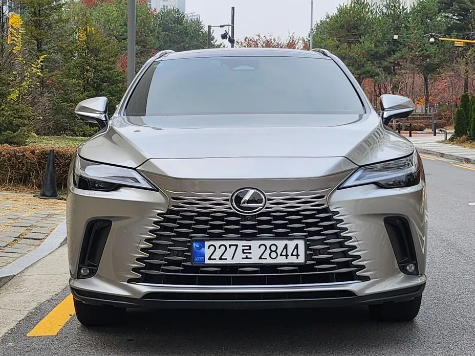 Lexus RX — фото 1