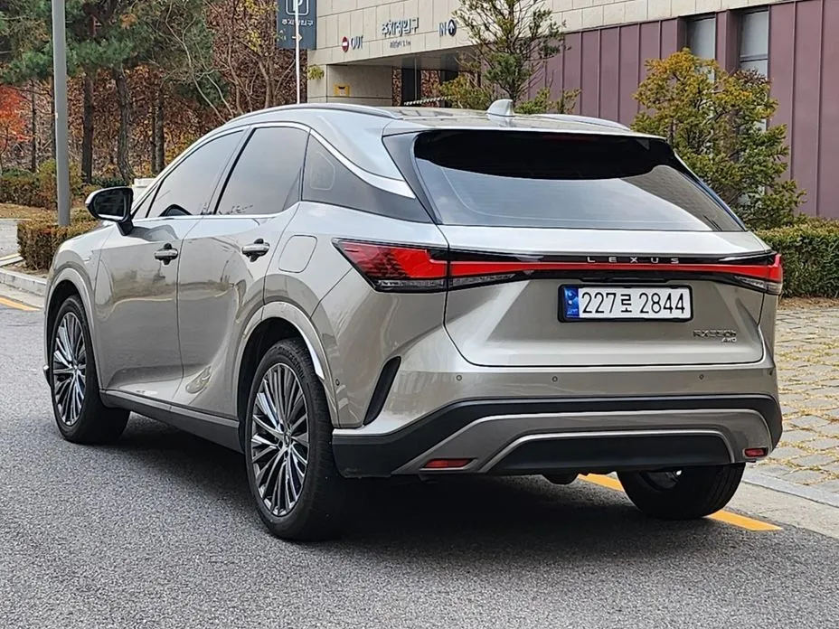 Lexus RX — фото 10