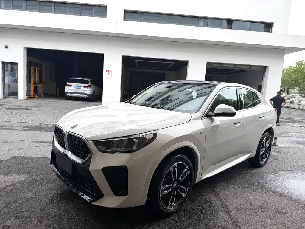 BMW X2 (Import) — фото 1