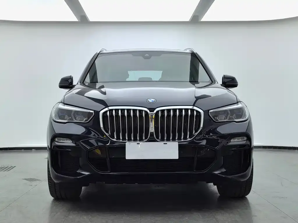 BMW X5 (Import) — фото 6