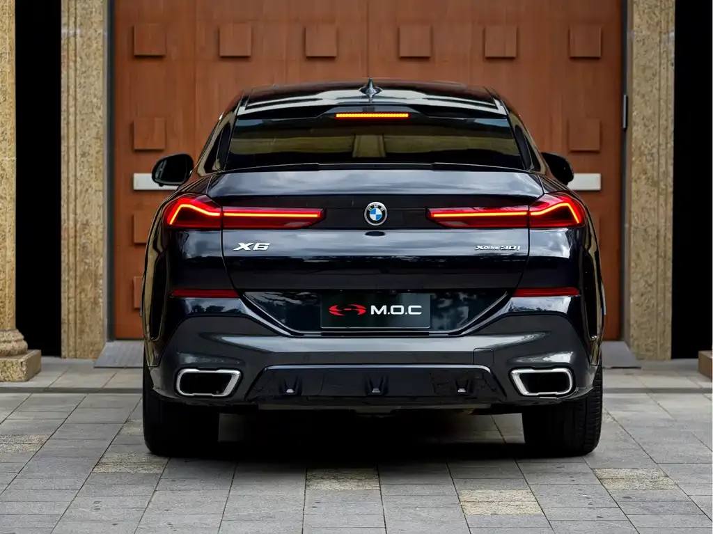 BMW X6 — фото 8