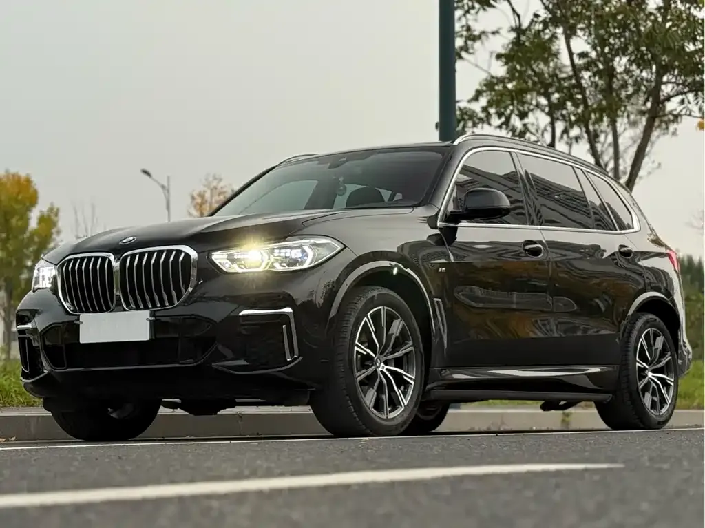 BMW X5 — фото 1