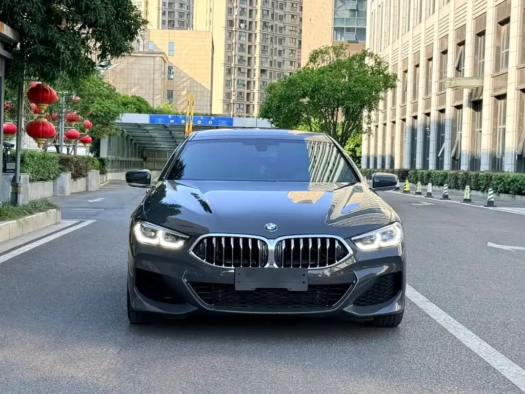 BMW 8 Series — фото 6