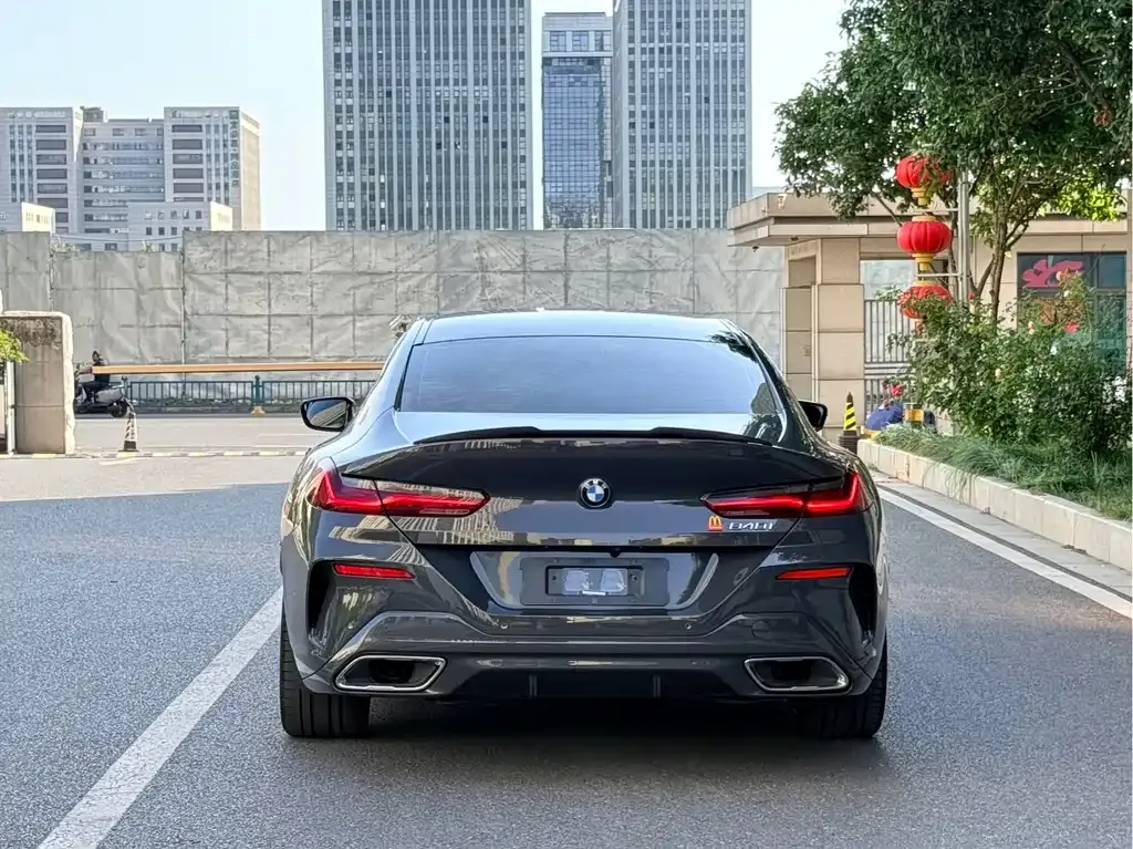 BMW 8 Series — фото 10