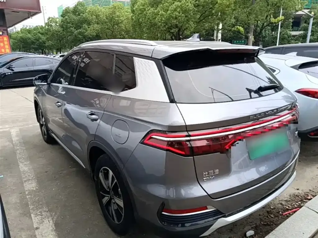 BYD Pro New Energy — фото 9