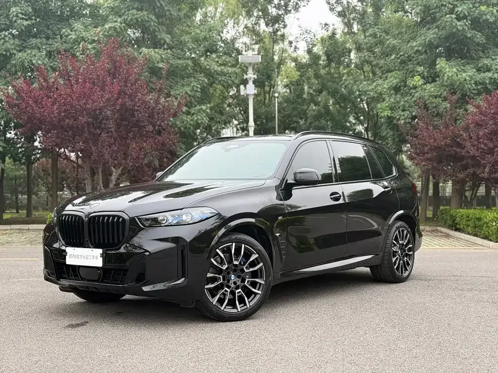 BMW X5 — фото 1