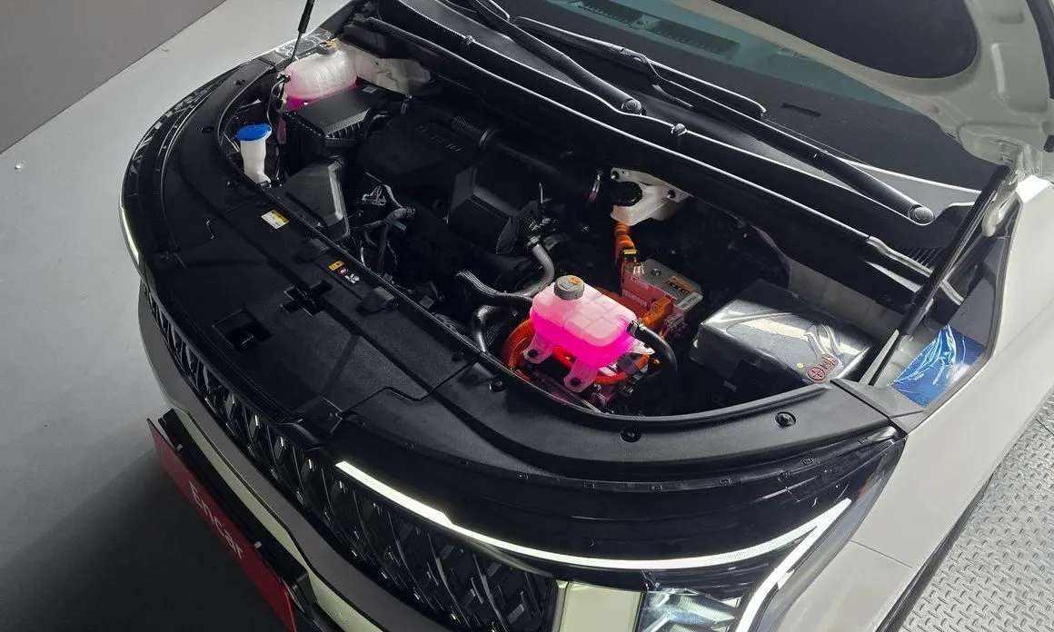 Kia Carnival — фото 10