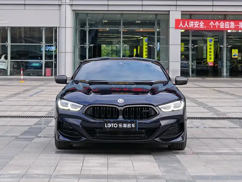 BMW 8 Series — фото 6