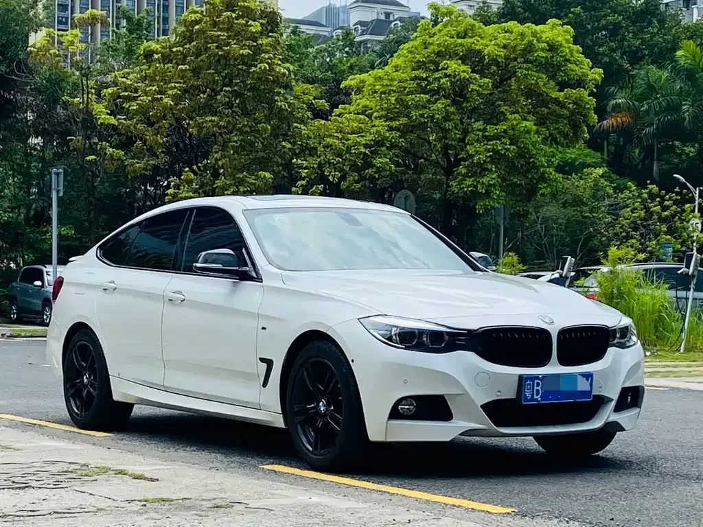 BMW 3 Series GT — фото 10