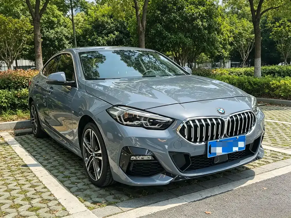 BMW 2 Series (Import) — фото 6