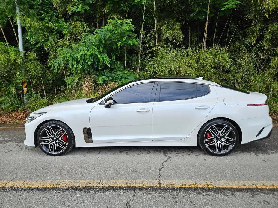 Kia Stinger — фото 10