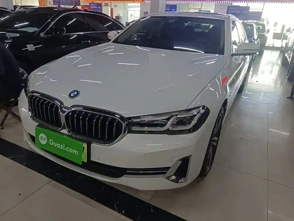BMW 5 Series New Energy — фото 7