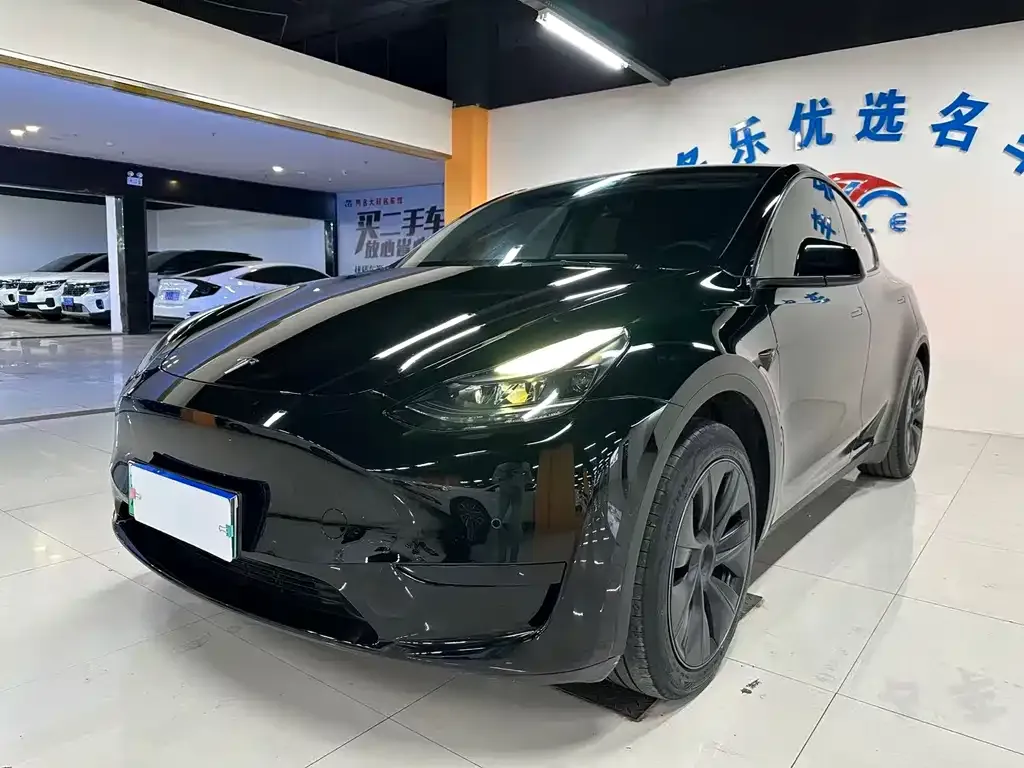 Tesla Model Y — фото 1