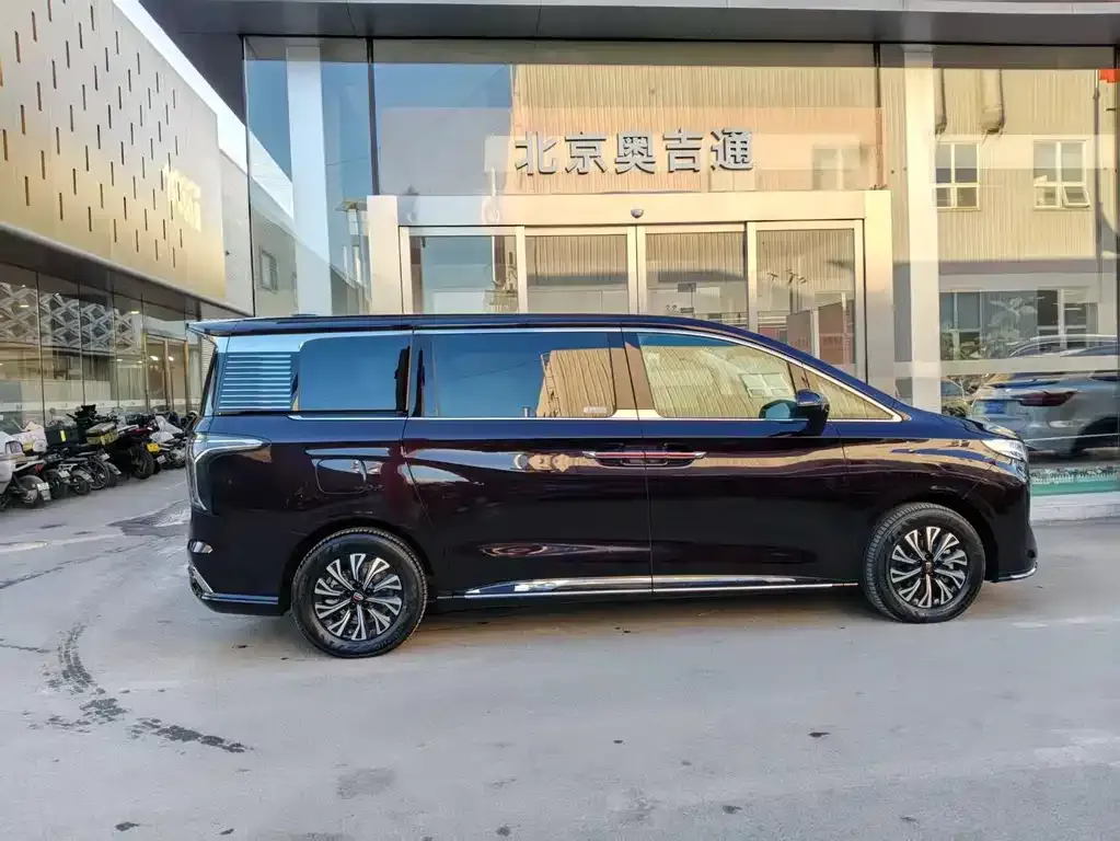 Hongqi HQ9 PHEV — фото 9