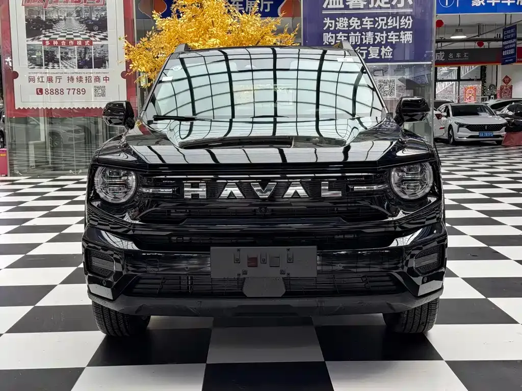 Haval Big Dog PLUS New Energy — фото 8