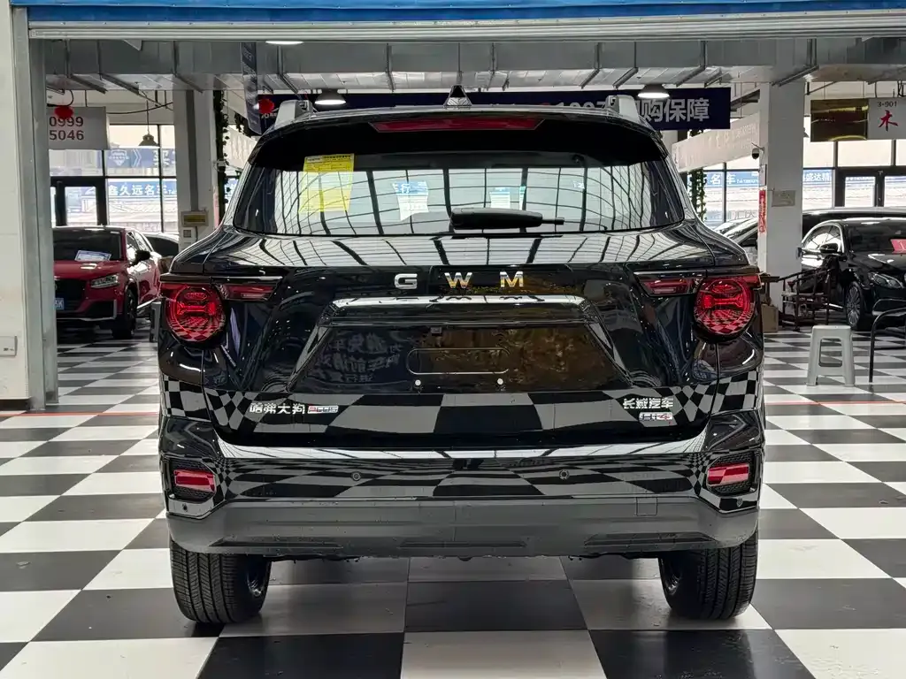 Haval Big Dog PLUS New Energy — фото 5
