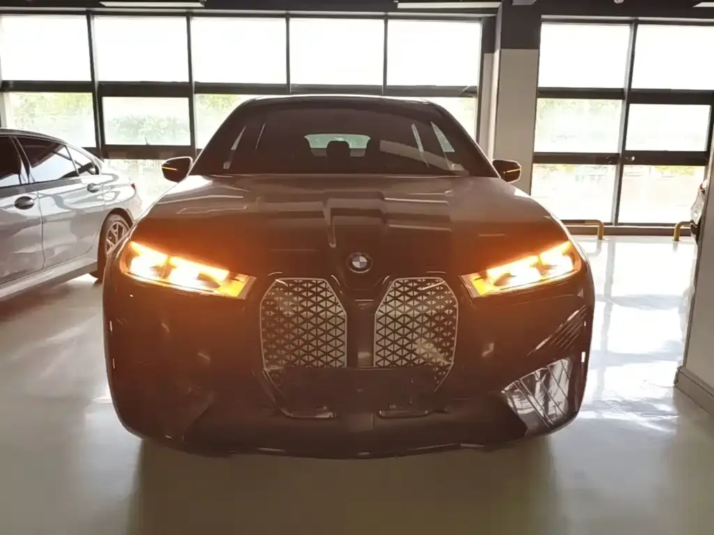 BMW iX — фото 10