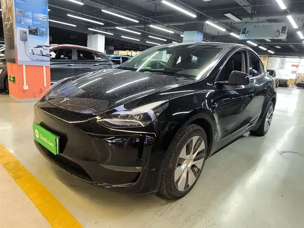 Tesla Model Y — фото 10