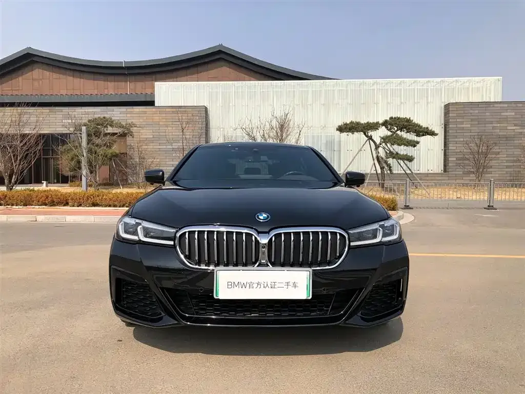 BMW 5 Series New Energy — фото 7