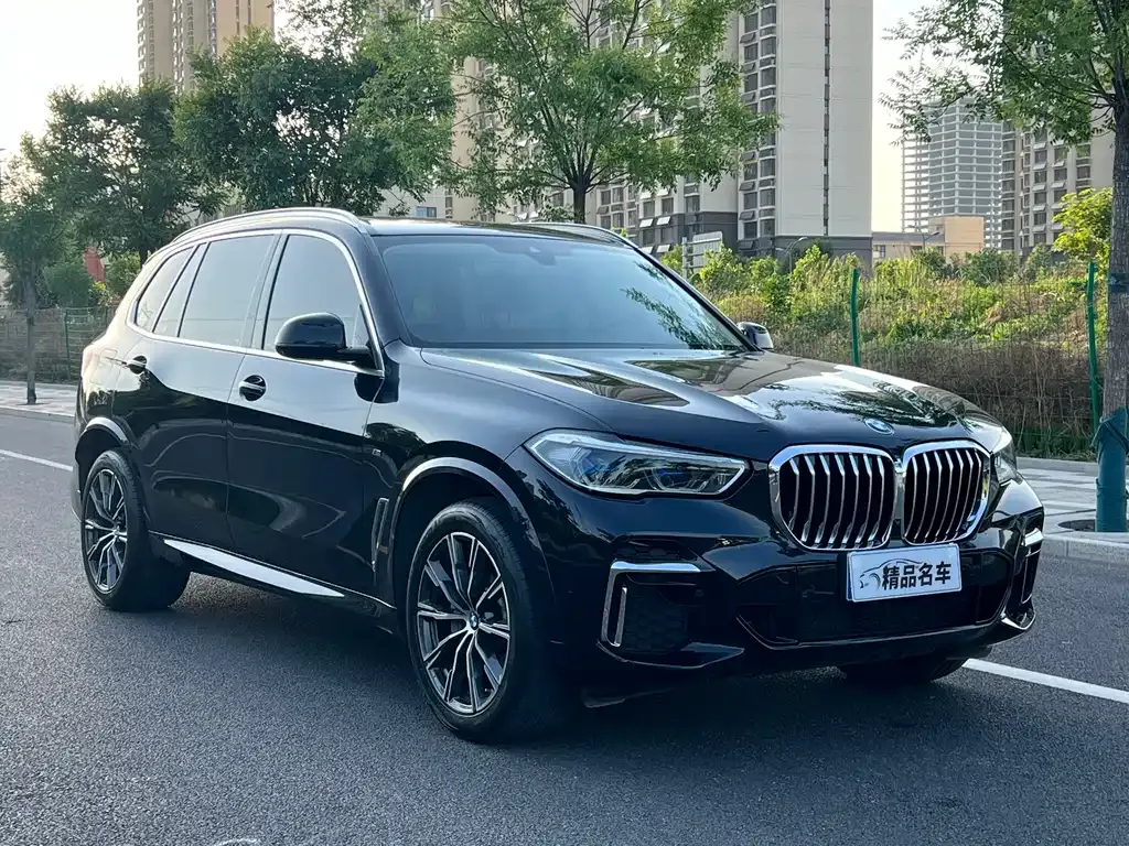BMW X5 — фото 9