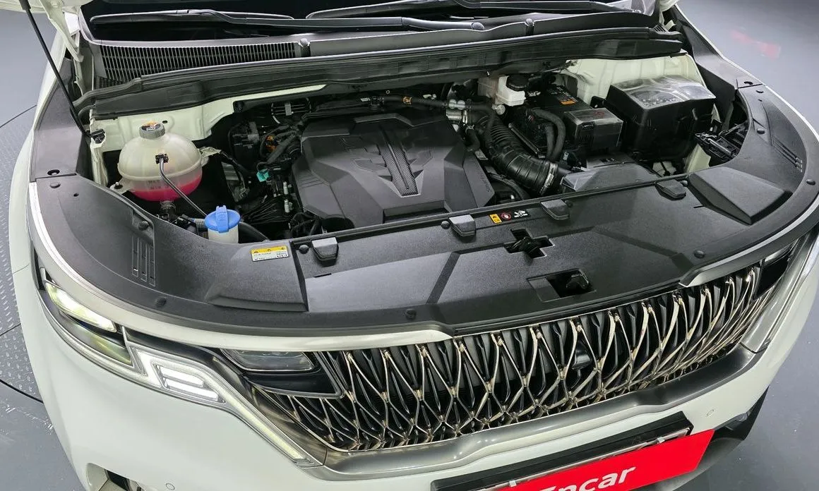 Kia Carnival — фото 10
