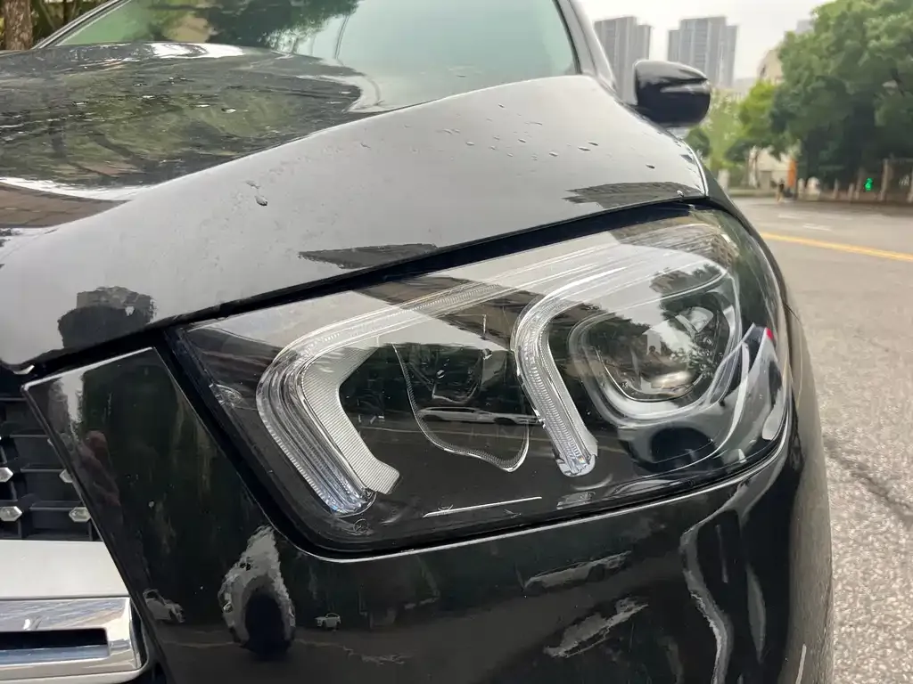 Mercedes-Benz 奔驰GLE(进口) — фото 2