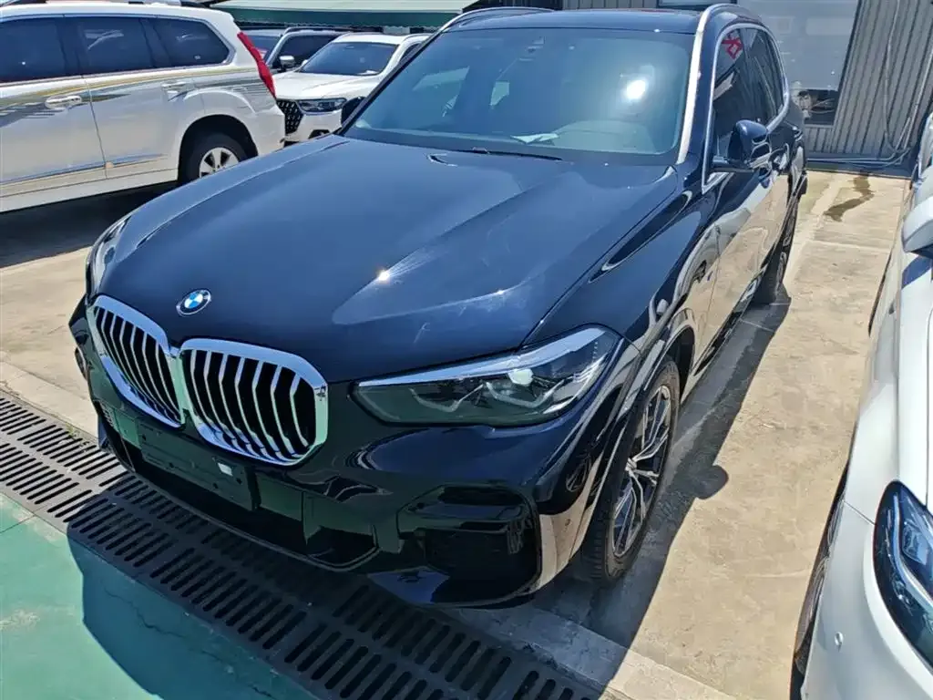 BMW X5 (Import) — фото 4