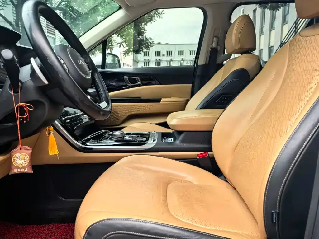 Kia Carnival — фото 10